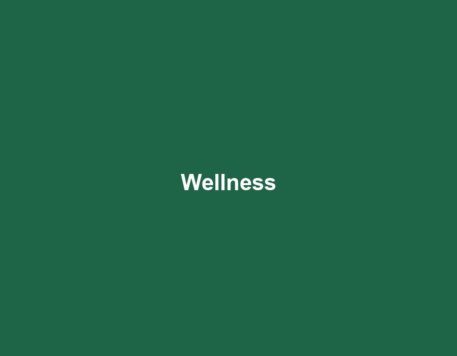 Sample: Chennai Wellness Circle