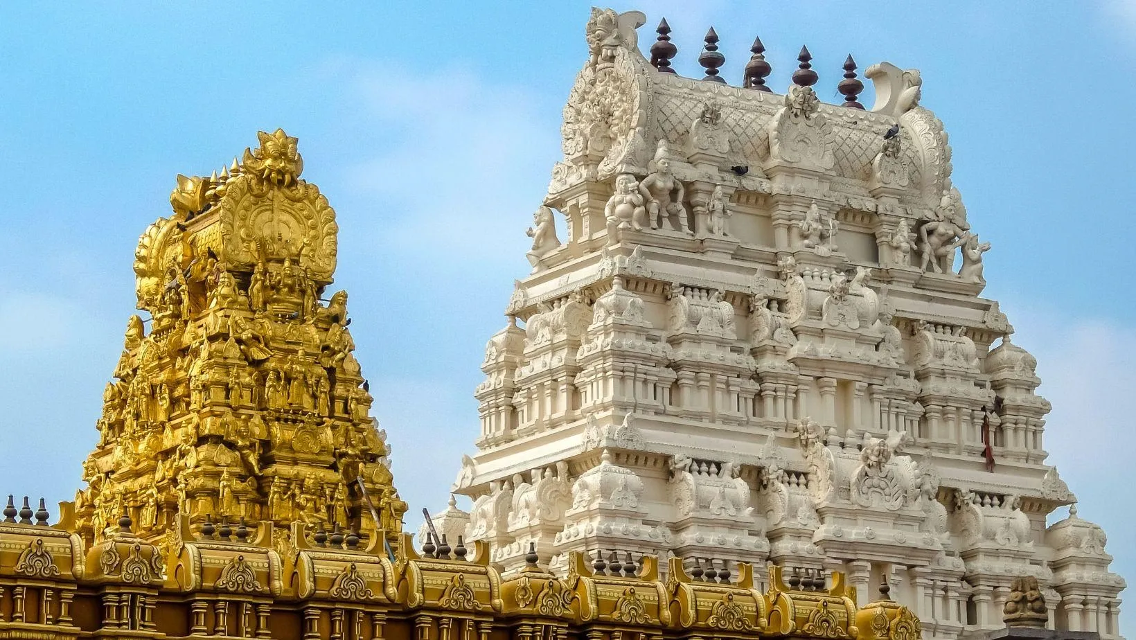 Tirupati Balaji Darshan